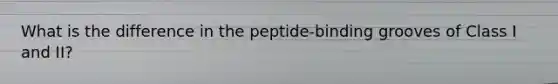 What is the difference in the peptide-binding grooves of Class I and II?