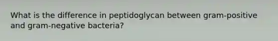 What is the difference in peptidoglycan between gram-positive and gram-negative bacteria?