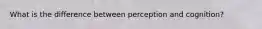 What is the difference between perception and cognition?
