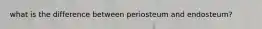 what is the difference between periosteum and endosteum?