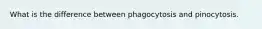 What is the difference between phagocytosis and pinocytosis.