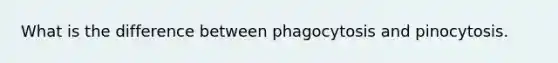 What is the difference between phagocytosis and pinocytosis.