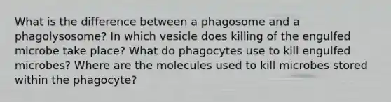 What is the difference between a phagosome and a phagolysosome? In which vesicle does killing of the engulfed microbe take place? What do phagocytes use to kill engulfed microbes? Where are the molecules used to kill microbes stored within the phagocyte?