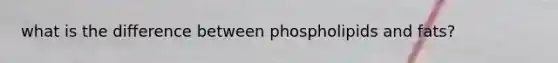 what is the difference between phospholipids and fats?