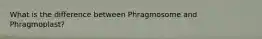 What is the difference between Phragmosome and Phragmoplast?