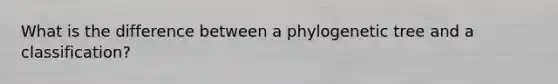 What is the difference between a phylogenetic tree and a classification?