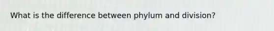 What is the difference between phylum and division?