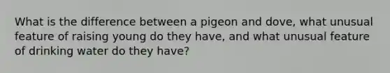 What is the difference between a pigeon and dove, what unusual feature of raising young do they have, and what unusual feature of drinking water do they have?