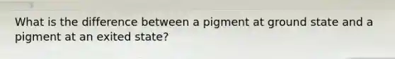 What is the difference between a pigment at ground state and a pigment at an exited state?