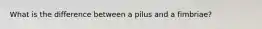 What is the difference between a pilus and a fimbriae?