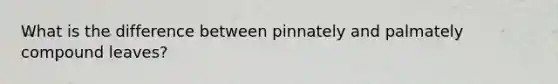 What is the difference between pinnately and palmately compound leaves?