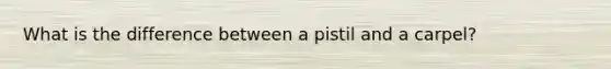 What is the difference between a pistil and a carpel?