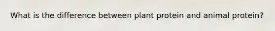 What is the difference between plant protein and animal protein?