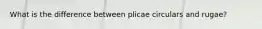 What is the difference between plicae circulars and rugae?