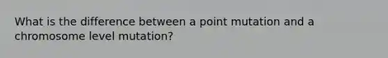What is the difference between a point mutation and a chromosome level mutation?