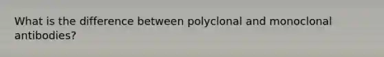 What is the difference between polyclonal and monoclonal antibodies?