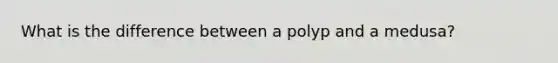 What is the difference between a polyp and a medusa?