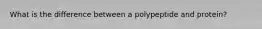 What is the difference between a polypeptide and protein?