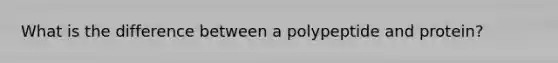 What is the difference between a polypeptide and protein?