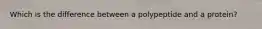 Which is the difference between a polypeptide and a protein?