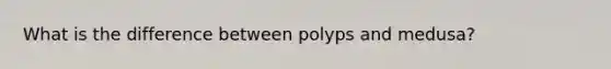 What is the difference between polyps and medusa?