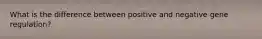 What is the difference between positive and negative gene regulation?