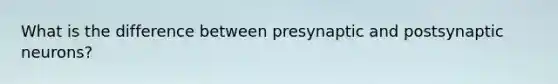 What is the difference between presynaptic and postsynaptic neurons?