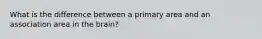 What is the difference between a primary area and an association area in the brain?