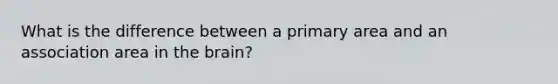 What is the difference between a primary area and an association area in the brain?