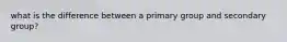 what is the difference between a primary group and secondary group?