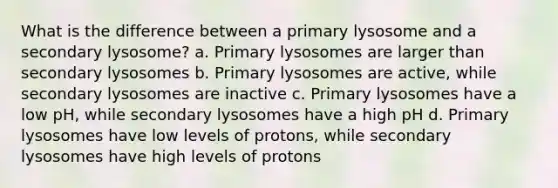 What is the difference between a primary lysosome and a secondary lysosome? a. Primary lysosomes are larger than secondary lysosomes b. Primary lysosomes are active, while secondary lysosomes are inactive c. Primary lysosomes have a low pH, while secondary lysosomes have a high pH d. Primary lysosomes have low levels of protons, while secondary lysosomes have high levels of protons