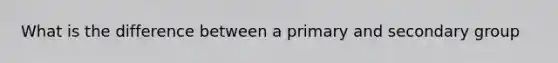 What is the difference between a primary and secondary group