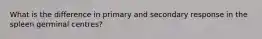 What is the difference in primary and secondary response in the spleen germinal centres?