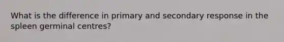 What is the difference in primary and secondary response in the spleen germinal centres?