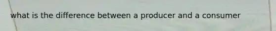 what is the difference between a producer and a consumer