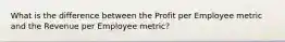 What is the difference between the Profit per Employee metric and the Revenue per Employee metric?