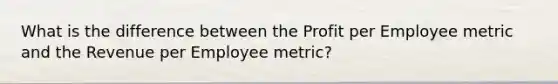 What is the difference between the Profit per Employee metric and the Revenue per Employee metric?