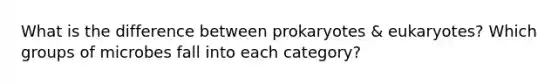 What is the difference between prokaryotes & eukaryotes? Which groups of microbes fall into each category?