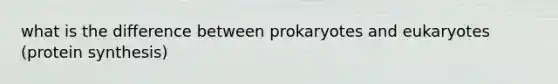 what is the difference between prokaryotes and eukaryotes (protein synthesis)