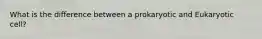 What is the difference between a prokaryotic and Eukaryotic cell?