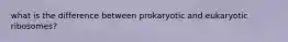 what is the difference between prokaryotic and eukaryotic ribosomes?