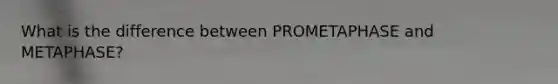 What is the difference between PROMETAPHASE and METAPHASE?