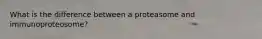 What is the difference between a proteasome and immunoproteosome?