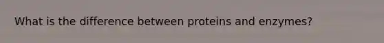 What is the difference between proteins and enzymes?