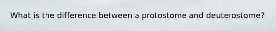 What is the difference between a protostome and deuterostome?
