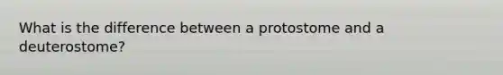 What is the difference between a protostome and a deuterostome?