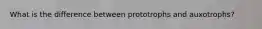 What is the difference between prototrophs and auxotrophs?