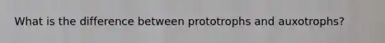 What is the difference between prototrophs and auxotrophs?