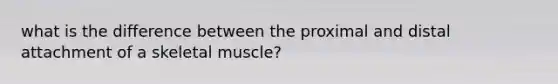 what is the difference between the proximal and distal attachment of a skeletal muscle?