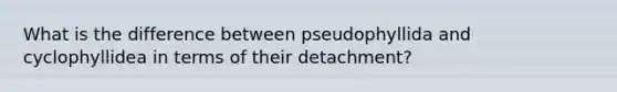 What is the difference between pseudophyllida and cyclophyllidea in terms of their detachment?